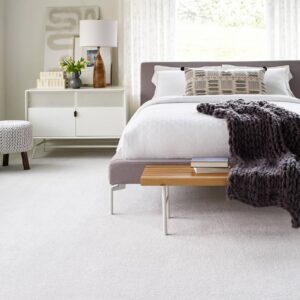 Plush Carpets | Great Floors