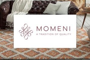Momeni | Great Floors