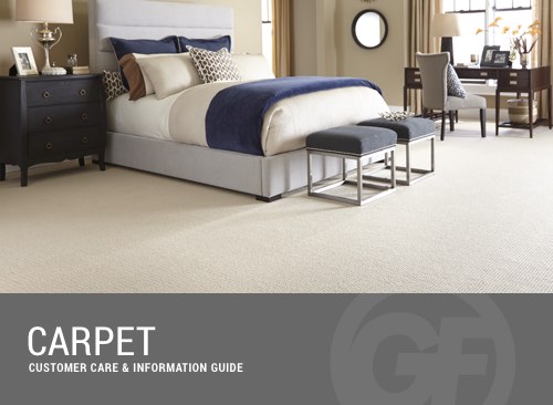 Carpet Care | Great Floors