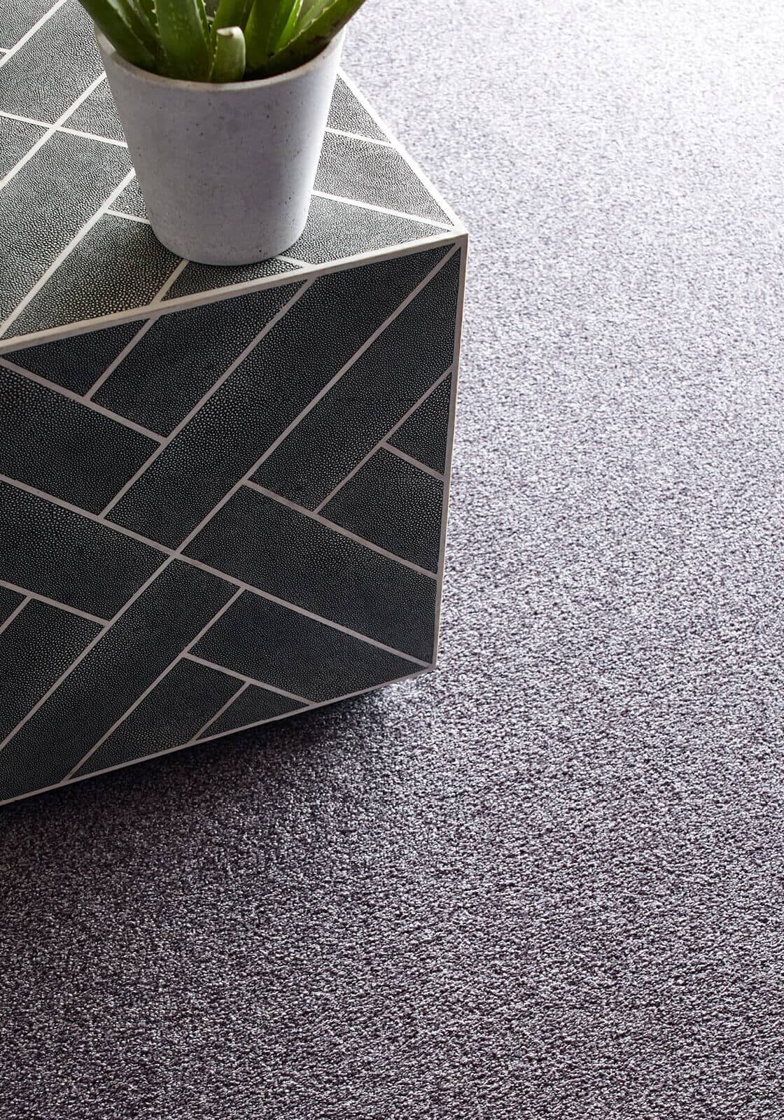 Modern Carpet | Great Floors