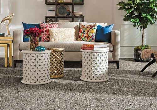 Shaw Carpet | Great Floors