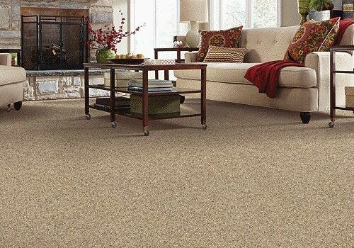 Mohawk Carpet | Great Floors